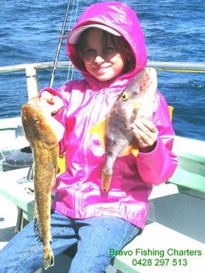 Bravo Fishing Charters - Sydneys Hotel 5