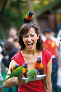 Currumbin Wildlife Sanctuary - Sydneys Hotel 10