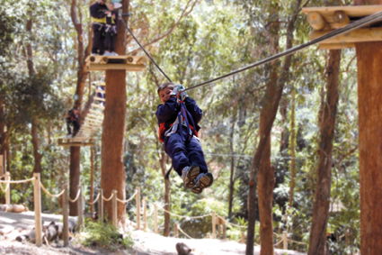 Currumbin Wildlife Sanctuary - Sydneys Hotel 11