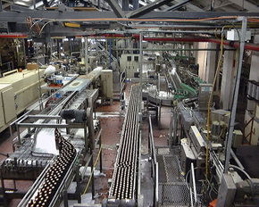 Cascade Brewery Tour - Sydneys Hotel 2