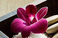 Blush Beauty Saloons - Sydneys Hotel 4