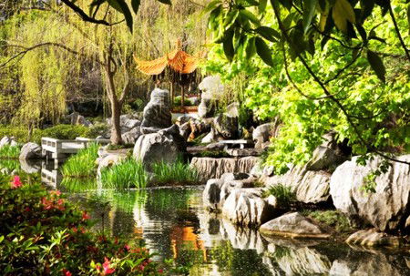 Chinese Garden Of Friendship - Sydneys Hotel 3