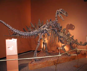 Denmark Dinosaur World - Sydneys Hotel 0