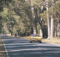 Ludlow Tuart Forest - Sydneys Hotel