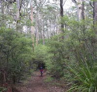 Margaret River Rails Trail - Sydneys Hotel