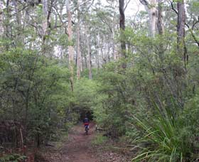 Margaret River Rails Trail - Sydneys Hotel 0