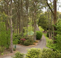 Mount Lofty Botanic Garden - Sydneys Hotel