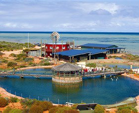 Ocean Park Aquarium - Sydneys Hotel 0