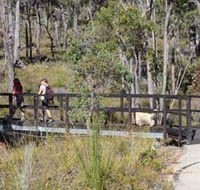 Forest Path Crooked Brook - Sydneys Hotel