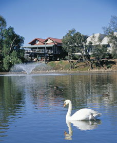 White Swans - Sydneys Hotel 0