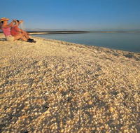 Shell Beach