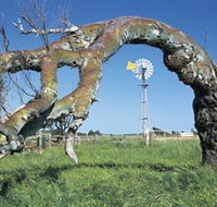 Greenough Leaning Trees - Sydneys Hotel