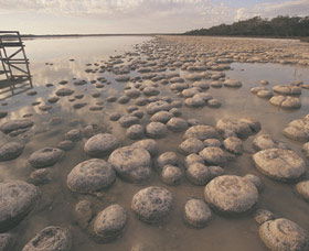 Yalgorup National Park - Sydneys Hotel 0