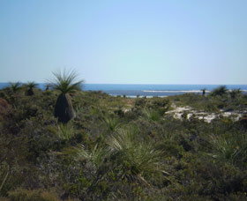 Lesueur National Park - Sydneys Hotel 0