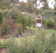 The Mythic Mazes - Sydneys Hotel