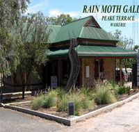 Rain Moth Gallery - Sydneys Hotel
