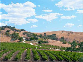Bethany Wines - Sydneys Hotel 0