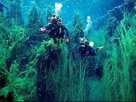 Caveton SA Sydneys Hotel