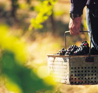 Burge Family Winemakers - Sydneys Hotel