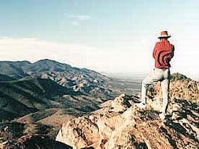 Devil's Peak Walking Trail - Sydneys Hotel 0