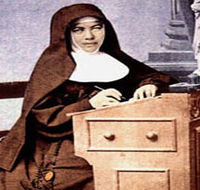 Mary MacKillop Penola Centre - Sydneys Hotel
