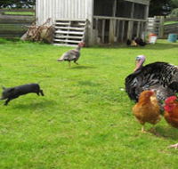 Echo Farm - Sydneys Hotel