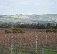 Mclaren Vale Premium Wines