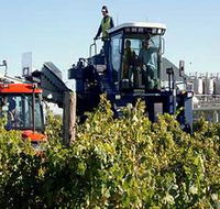 Ballast Stone Estate Wines Pty Ltd - Sydneys Hotel