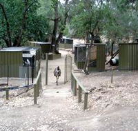Humbug Scrub Wildlife Sanctuary - Sydneys Hotel