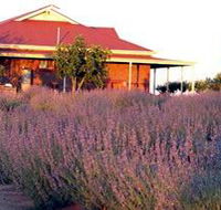Bella Lavender Estate - Sydneys Hotel