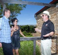 Shingleback Wine Cellar Door
