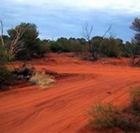 Tallaringa Conservation Park - Sydneys Hotel