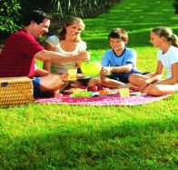 Bruny Island Berry Farm - Sydneys Hotel