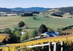 Freycinet Vineyards Pty Ltd - Sydneys Hotel 0