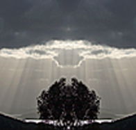 aart. Gallery of Fine Art - Sydneys Hotel