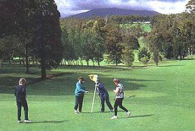 Deloraine Golf Course - Sydneys Hotel 0