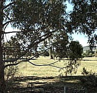 Cygnet Public Golf Course - Sydneys Hotel