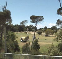 Greens Beach Golf Course - Sydneys Hotel