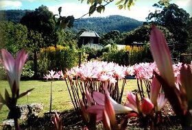 Blueberry Cottage Open Gardens - Sydneys Hotel 0