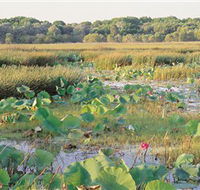 Fogg Dam Conservation Reserve - Sydneys Hotel