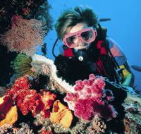 Cook Island Dive Site - Sydneys Hotel