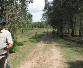 Coombabah QLD Sydneys Hotel