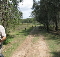 Coombabah Lakes Conservation Area - Sydneys Hotel