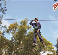 Adventure Parc at Currumbin Wildlife Sanctuary - Sydneys Hotel