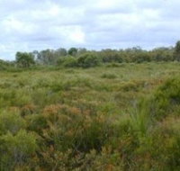 Pine Ridge Conservation Park - Sydneys Hotel