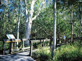 Noosa Heads QLD Sydneys Hotel
