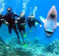 Jew Shoal Dive Site - Sydneys Hotel