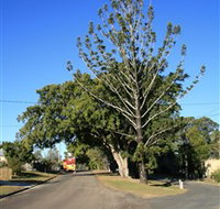 Anzac Avenue Memorial Trees Beerburrum