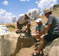 Riversleigh Fossil Fields