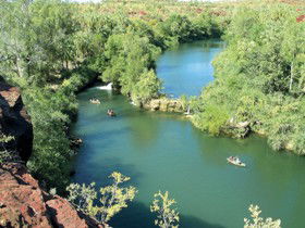 Wild Dog Dreaming, Boodjamulla (Lawn Hill) National Park - Sydneys Hotel 0